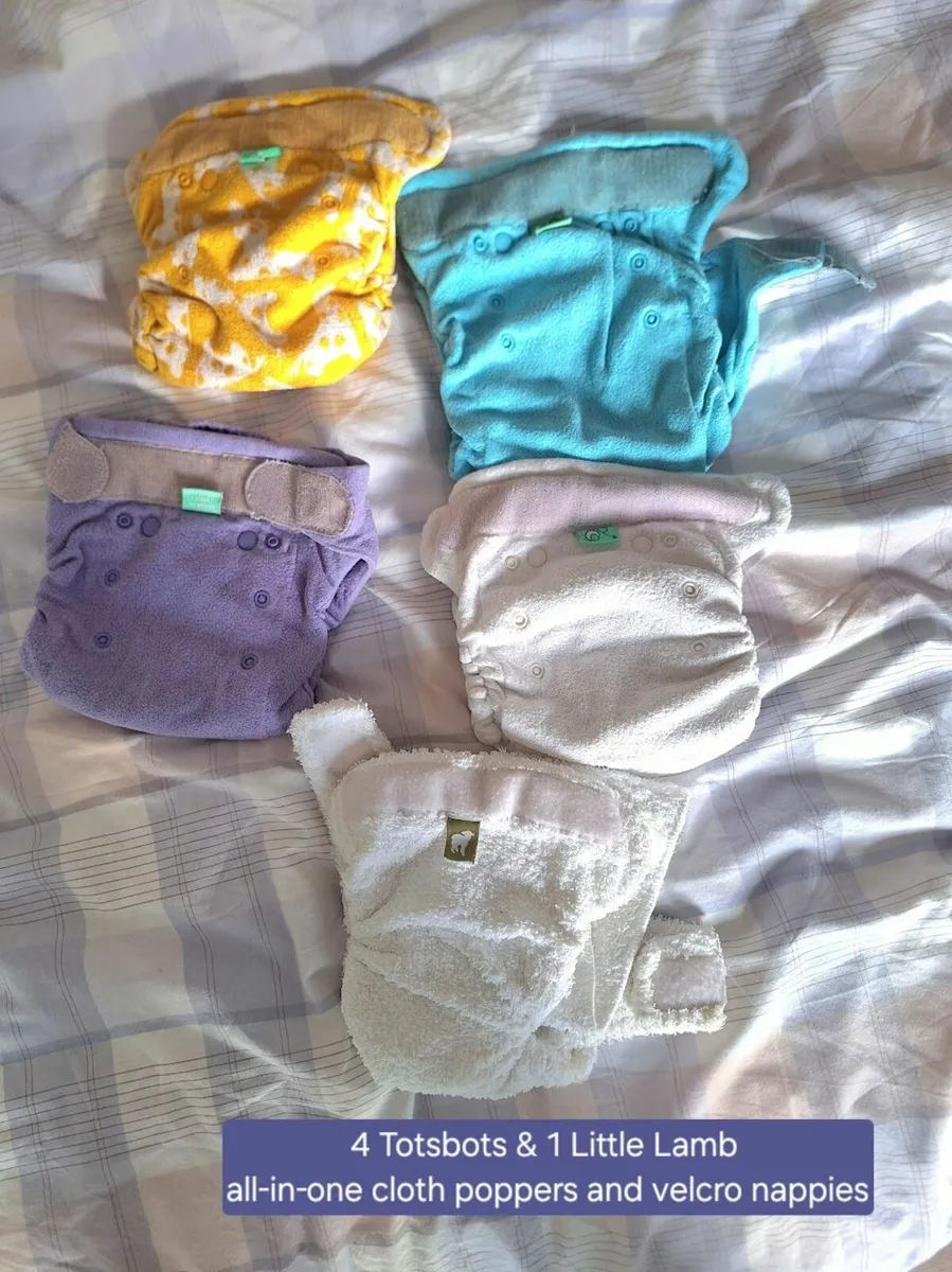 Cloth Nappies - Complete Kit! - Image 4