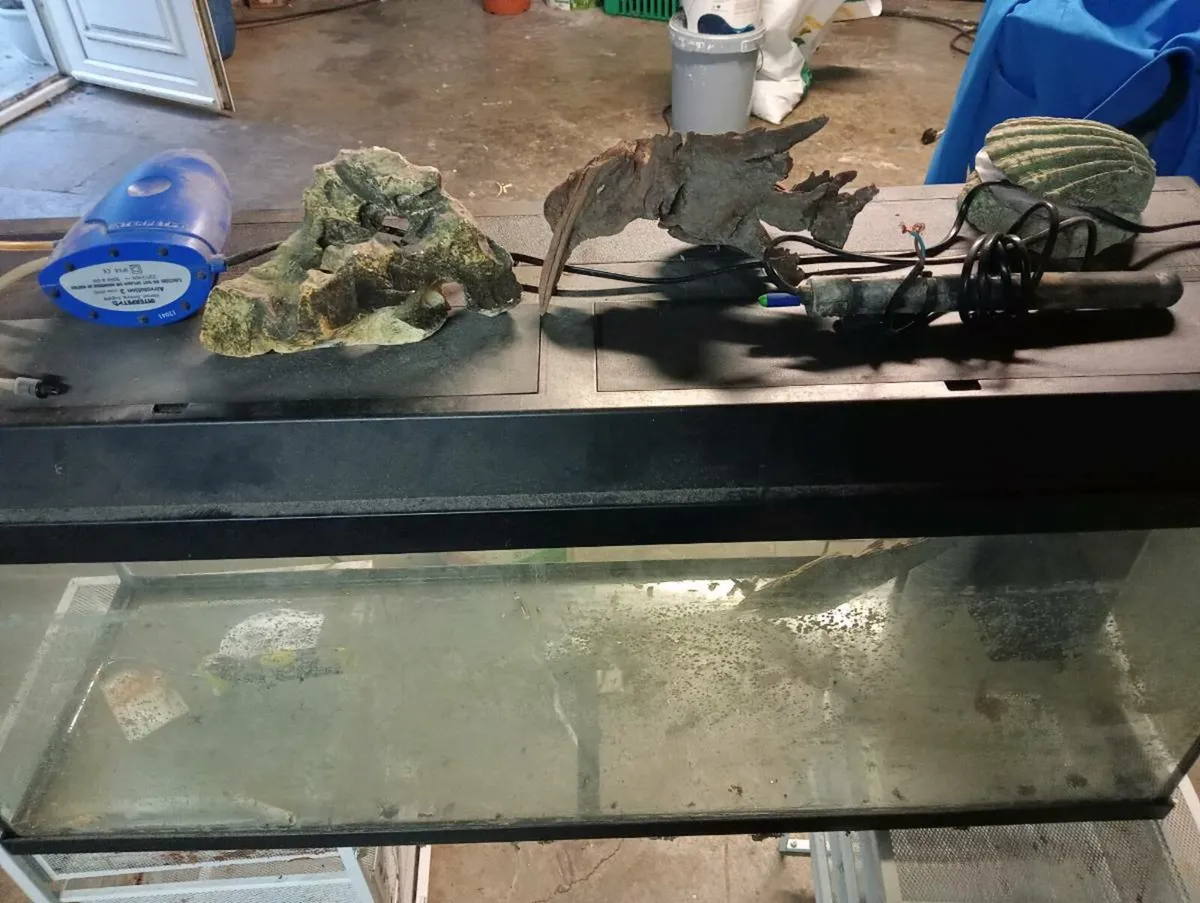Jewel fish tank - Image 1