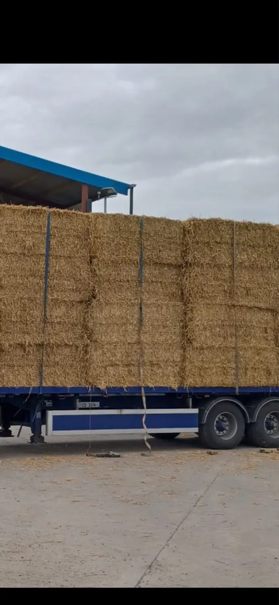 2025 straw delivered - Image 1