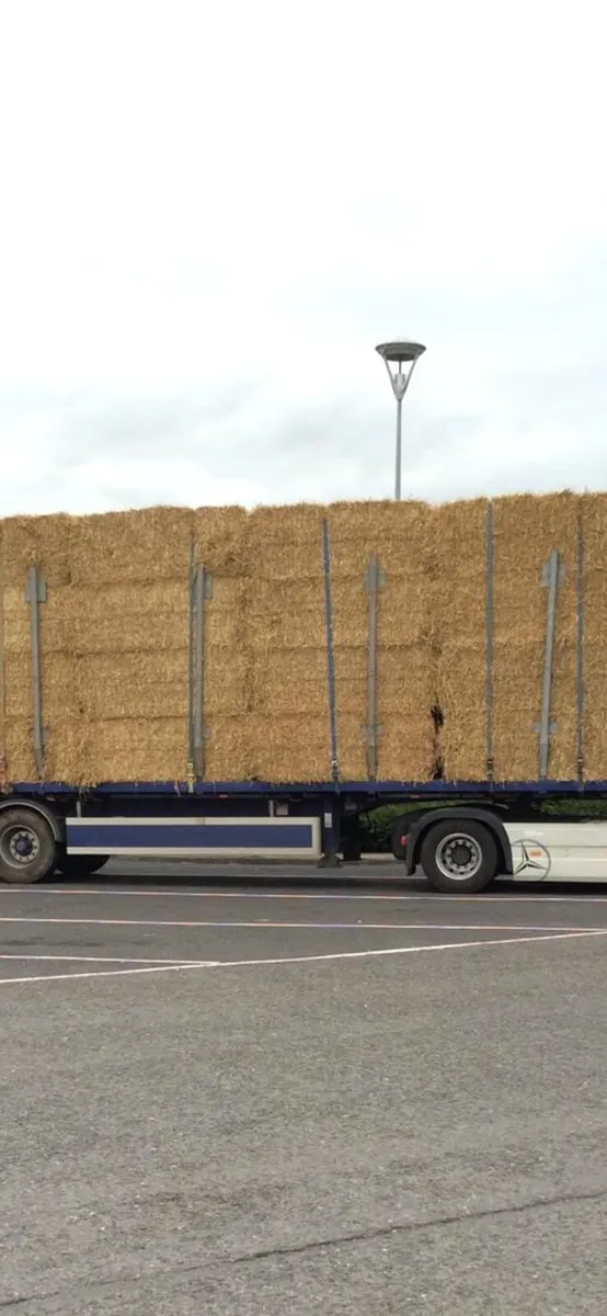 2025 straw delivered - Image 2