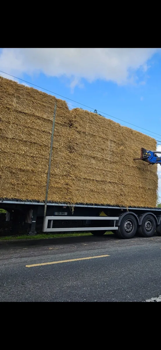 2025 straw delivered - Image 3