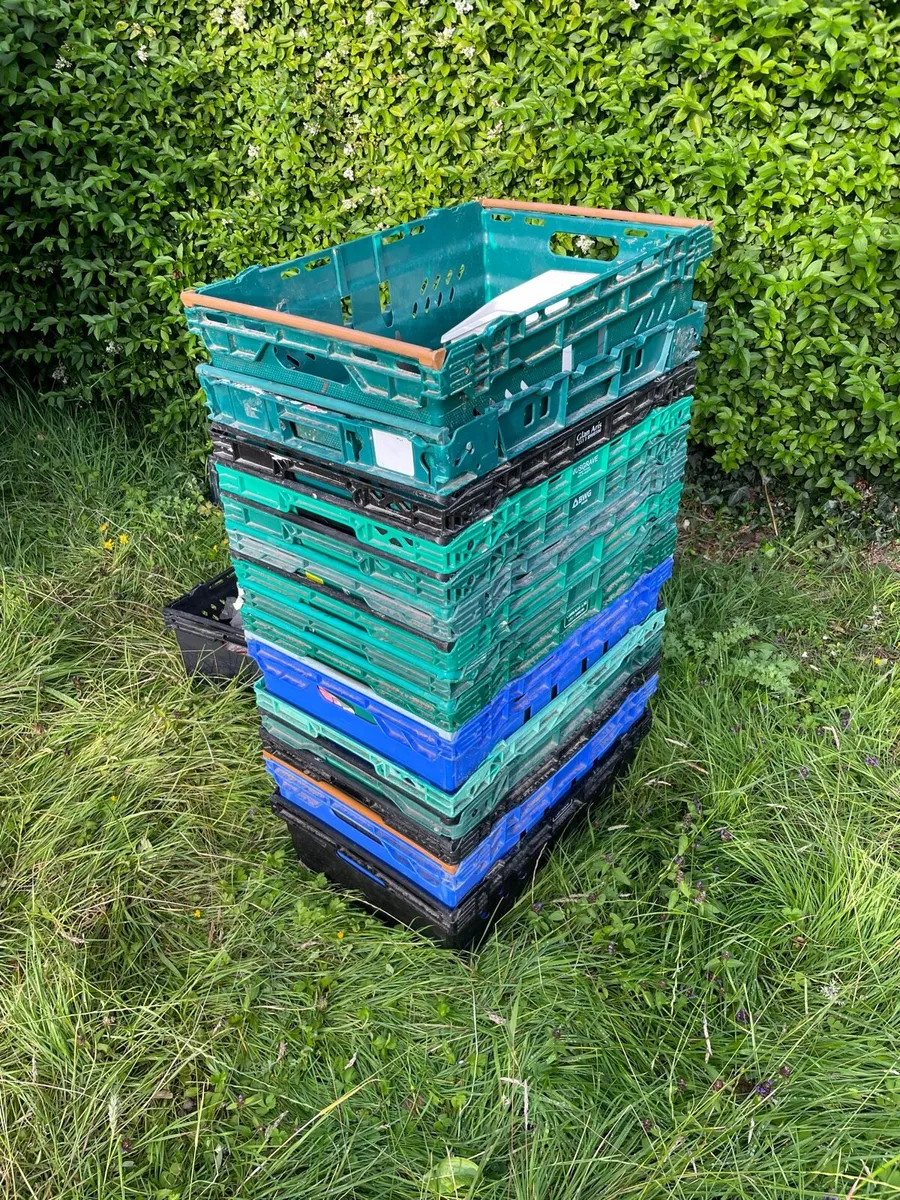 20 storage box - Image 1