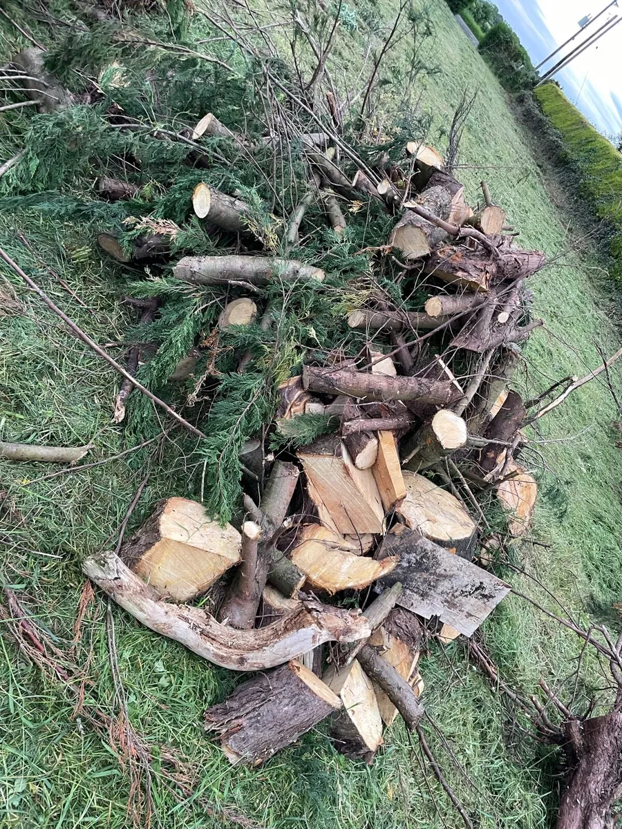 Fire wood