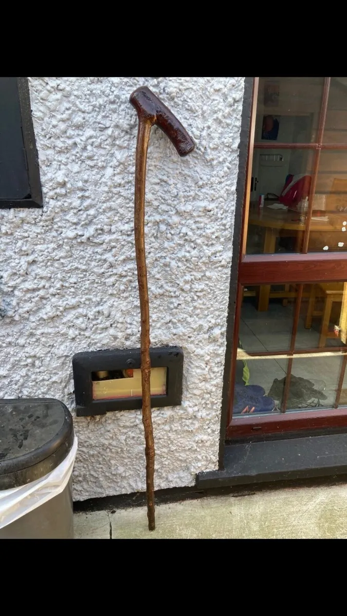 2 Blackthorn walking/hiking sticks - Image 3