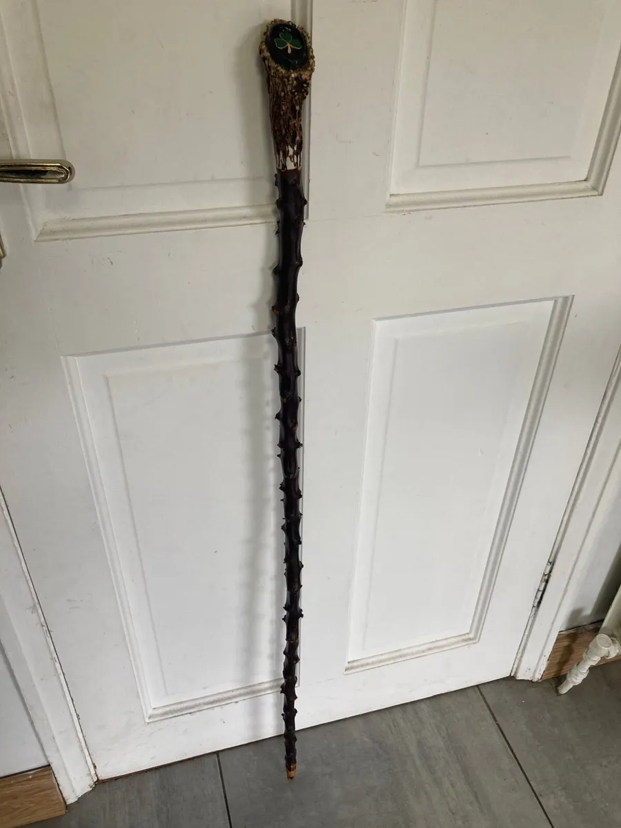 2 Blackthorn walking/hiking sticks - Image 4