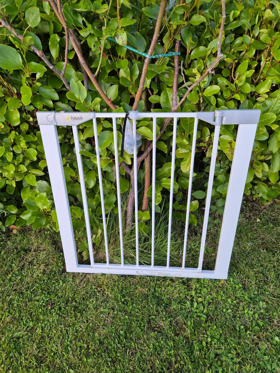 Stair gate