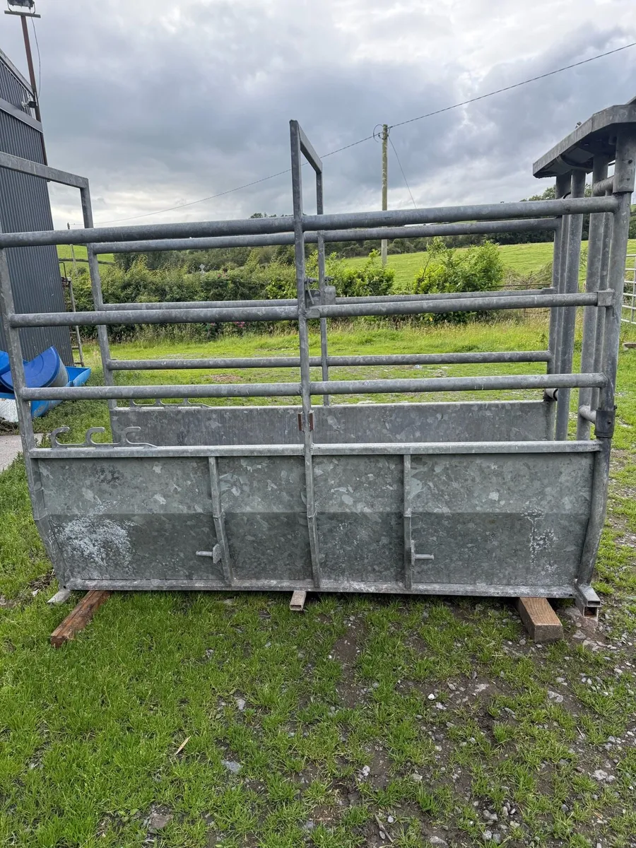 Cattle shoot for sale - Image 1