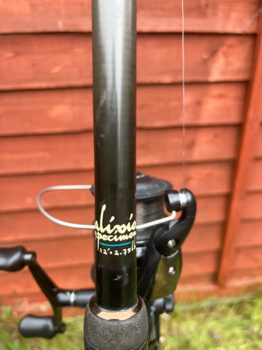 Pike gear - Image 4
