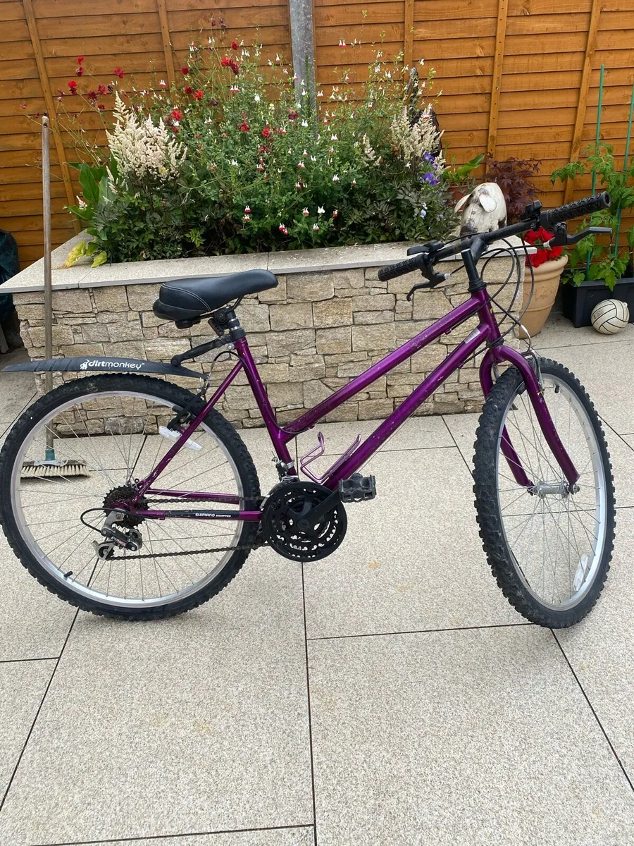 Ladies bike - Image 1