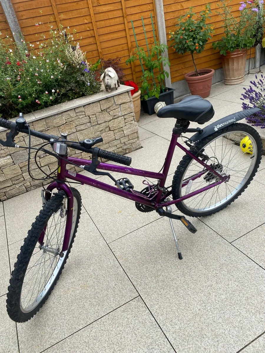 Ladies bike - Image 2