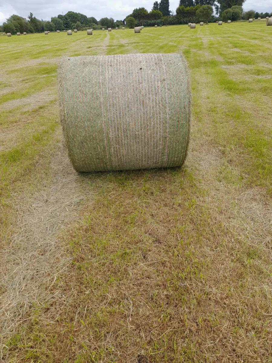 Hay & Silage - Image 2