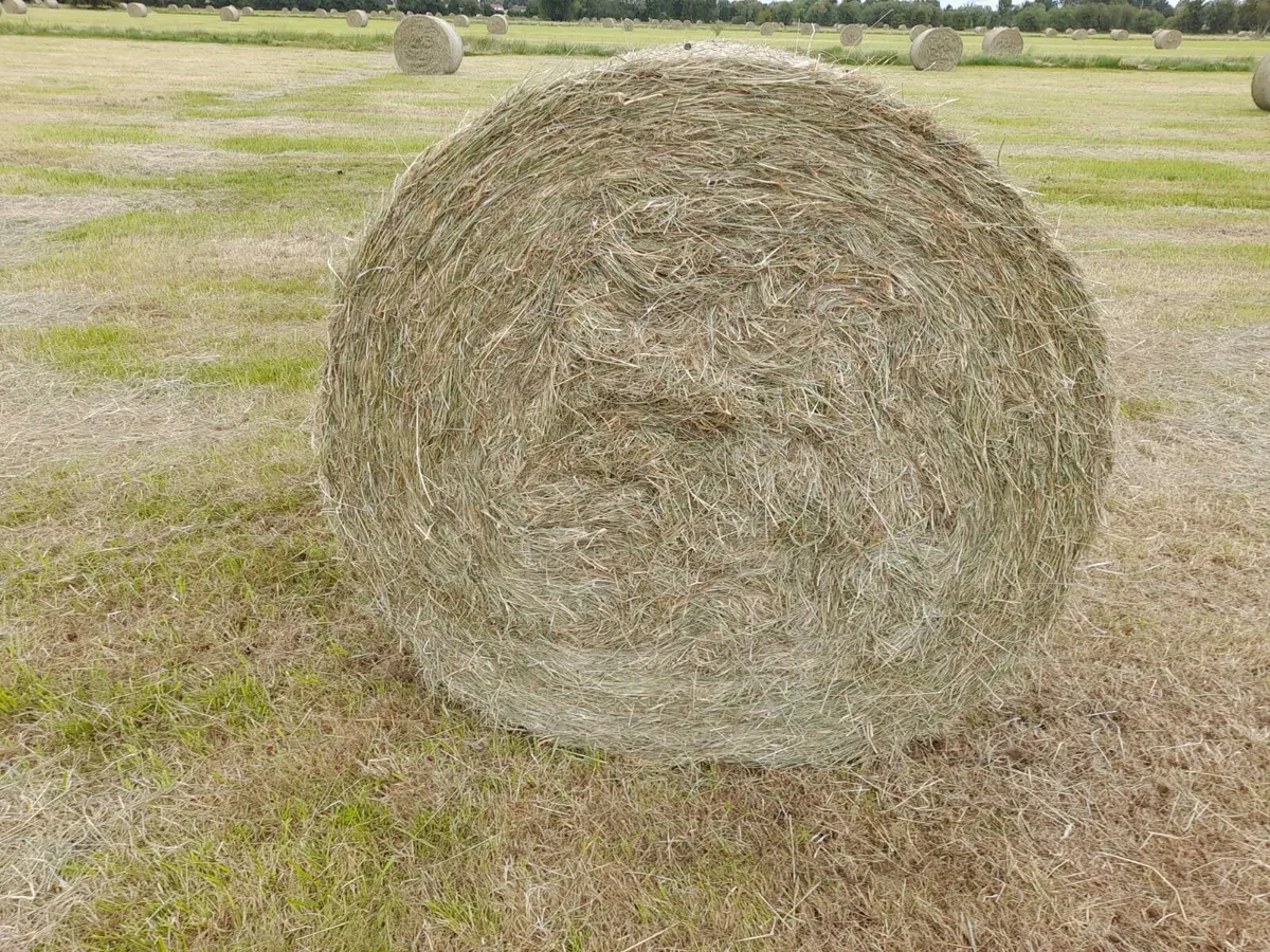Hay & Silage - Image 1
