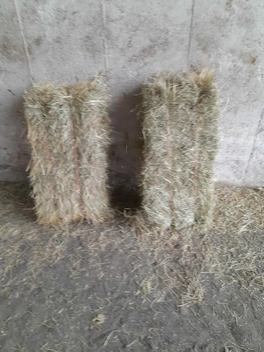 Hay & Silage - Image 3