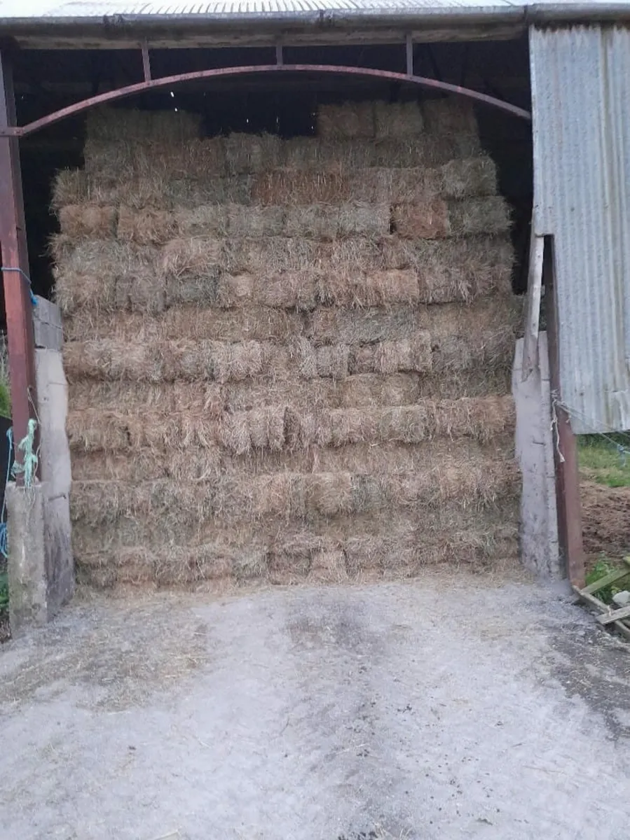 Hay & Silage - Image 4