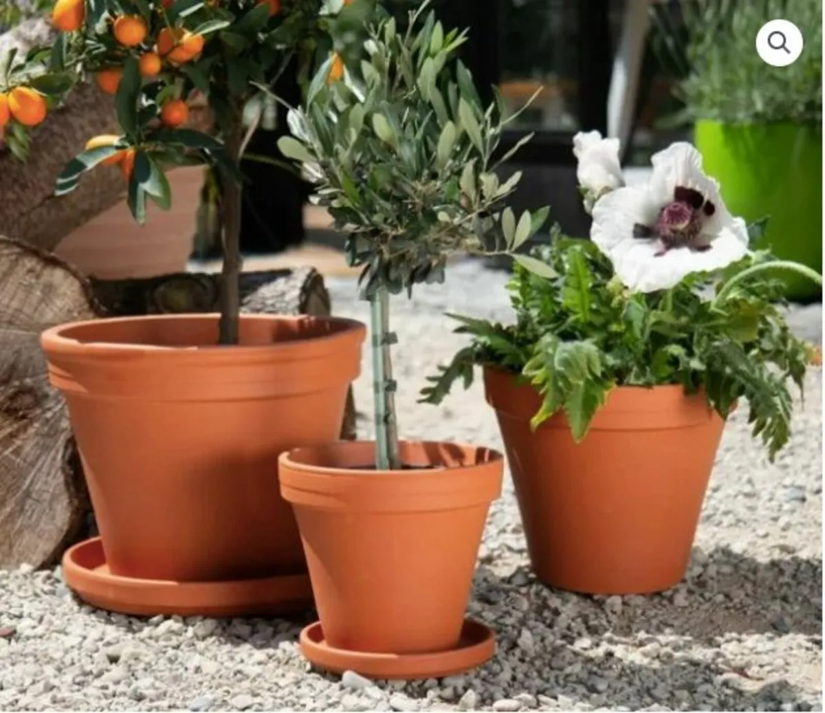 Terracotta Plant Pots - assorted sizes