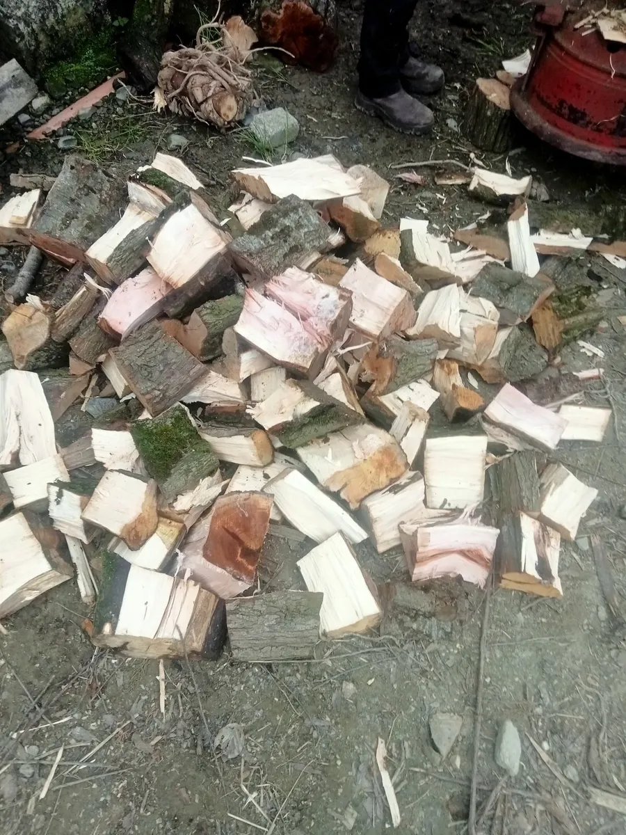 Logs - Image 1