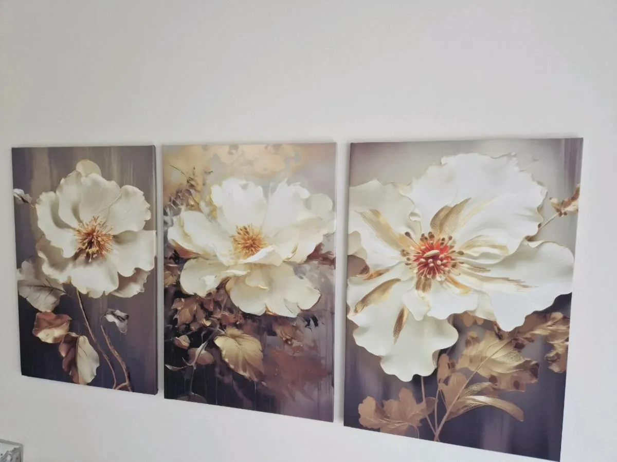 3 canvas 45 x 65cm - Image 1