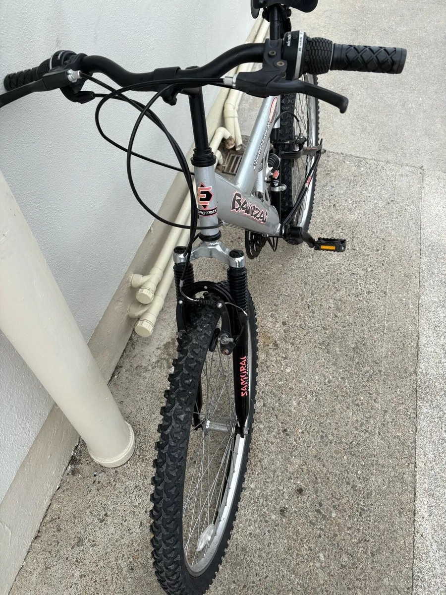 Mans bike - Image 1