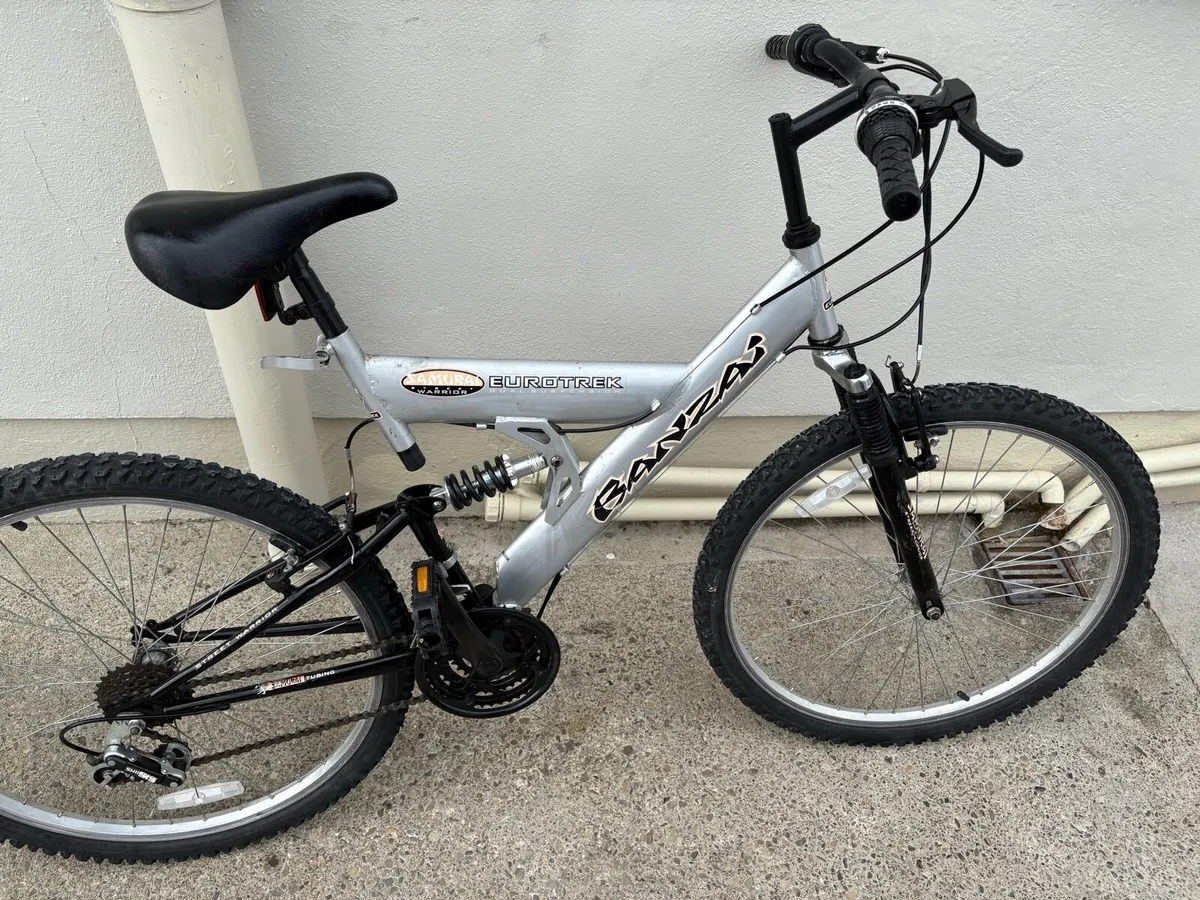 Mans bike - Image 2