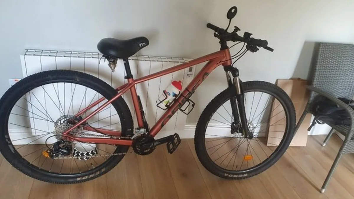 Mountain bike - Image 1