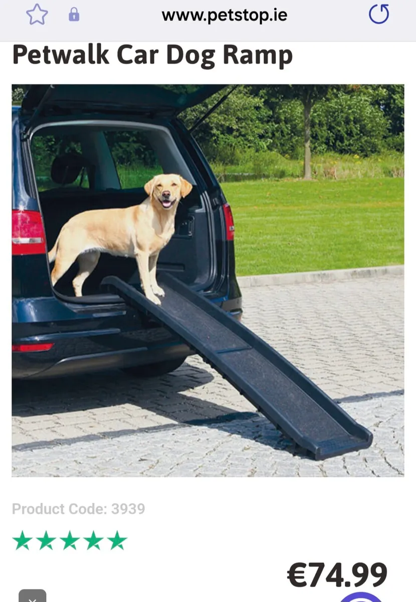 Dog Ramp - Image 1