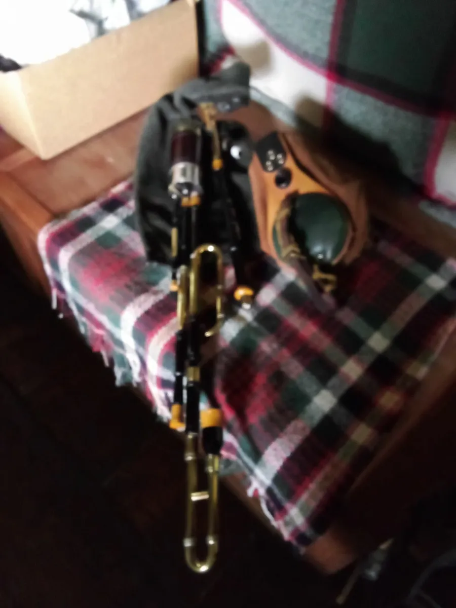 Uilleann pipes - Image 2