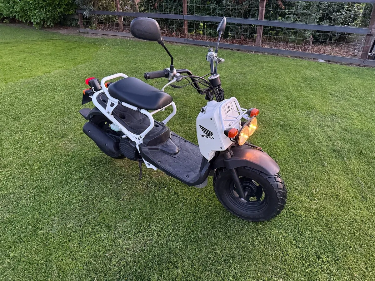 Honda zoomer - Image 1