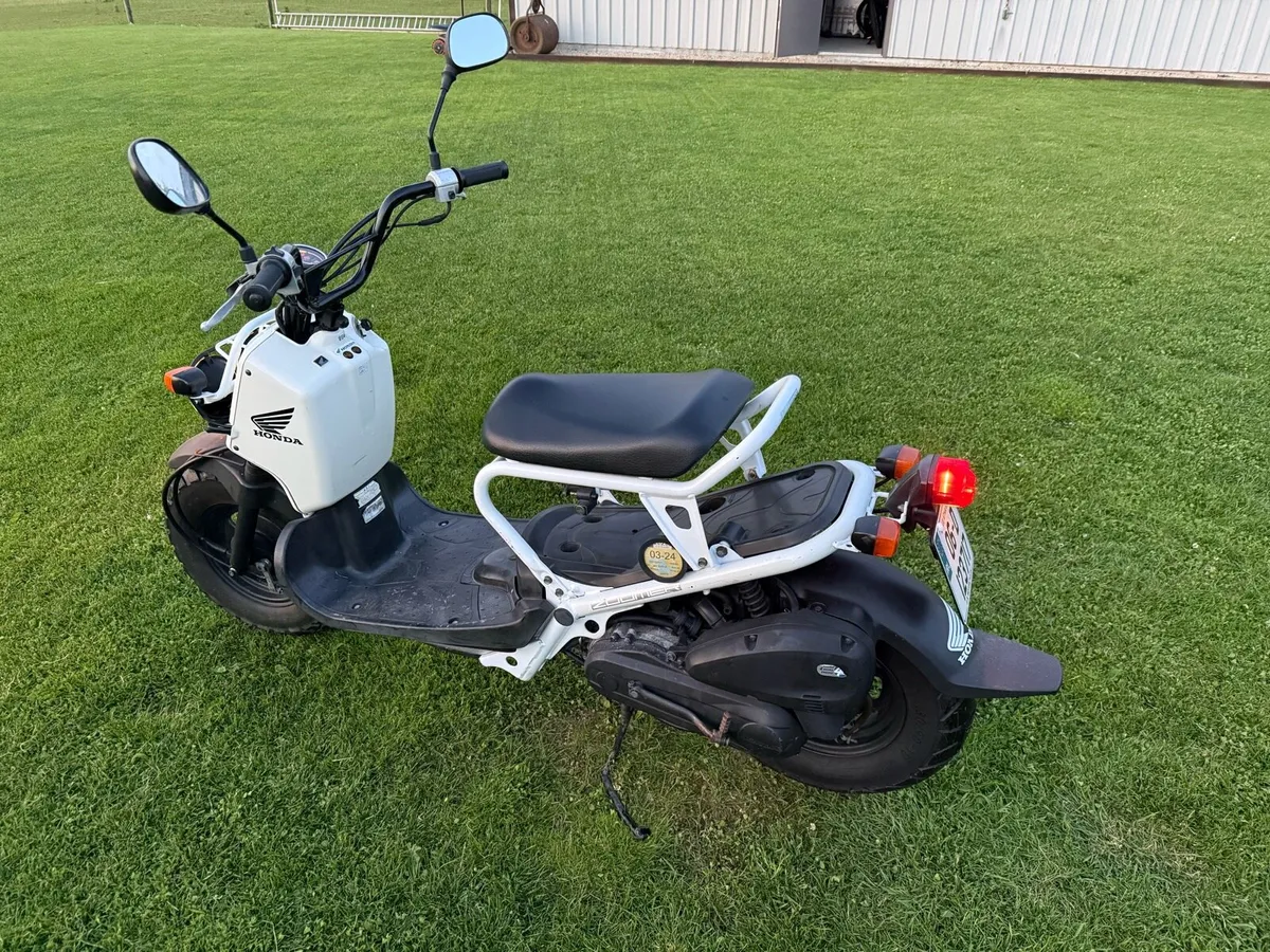 Honda zoomer - Image 3
