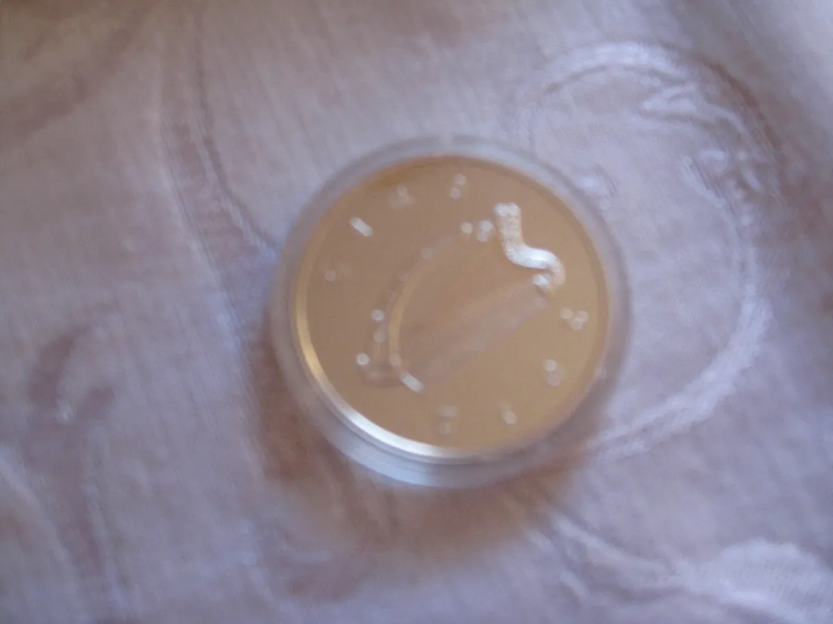 2012 €10 Silver Proof Coin -Jack B Yeats - Image 4