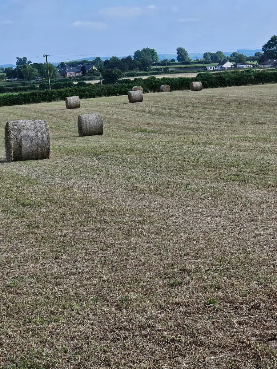 Round Hay Bales - Image 1