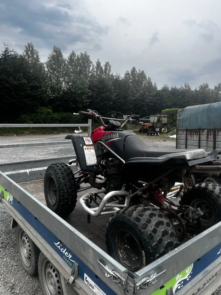 2006 Yamaha Blaster 200 - Image 3