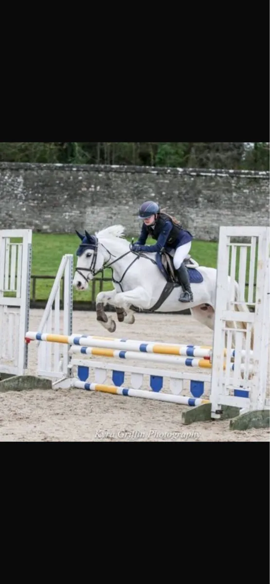 Pony for sale - Image 1
