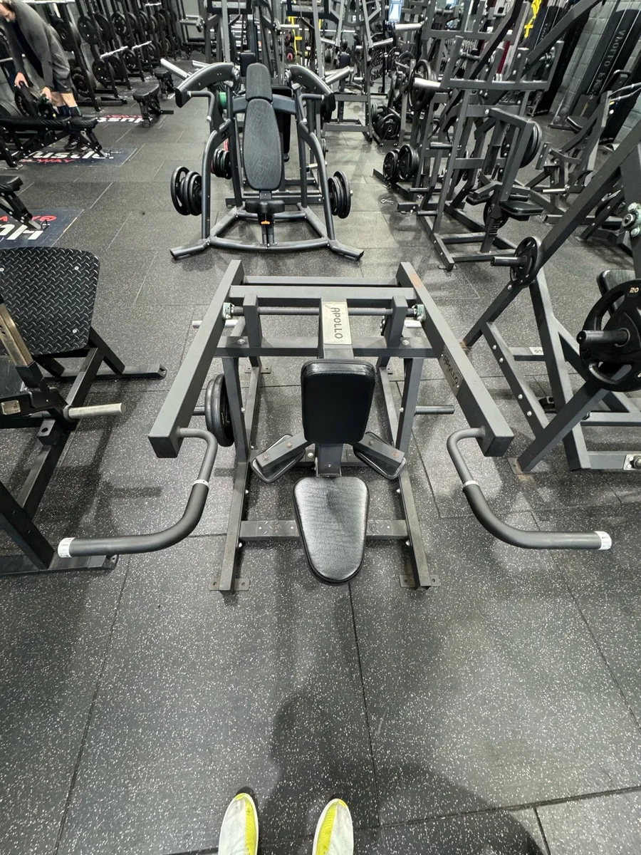 Plate loaded gym equipment - Image 1