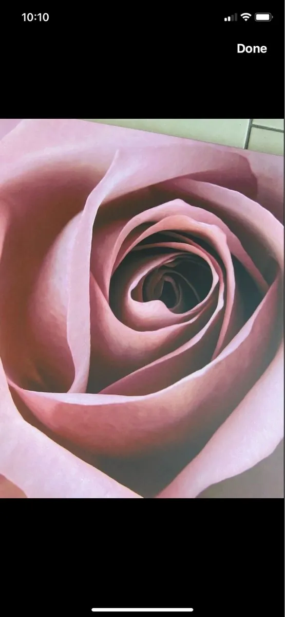 Large Rose Canvas Art - Image 2