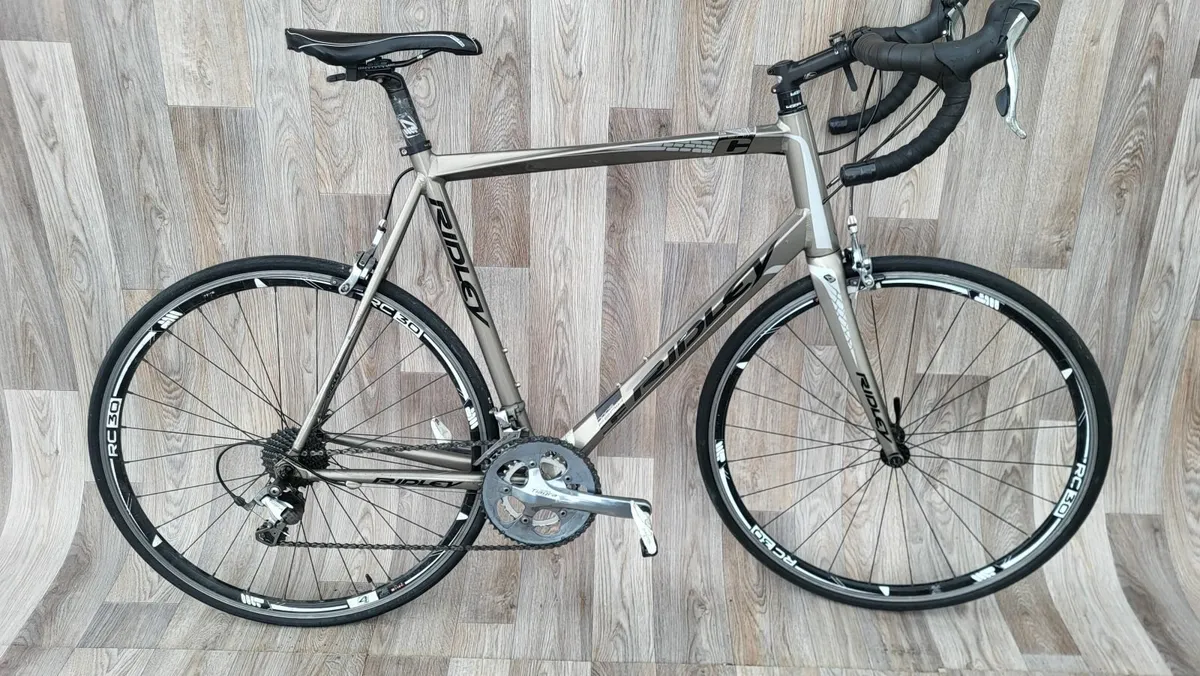 Ridley - Image 3