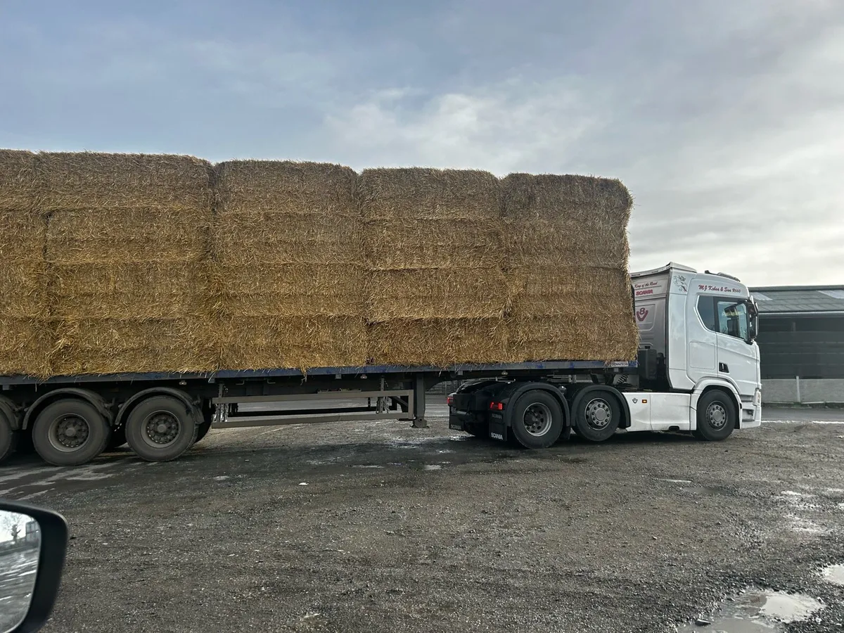 2025 barely, wheaten & oaten straw - Image 1