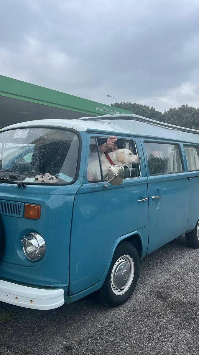 1979 WV camper - Image 2