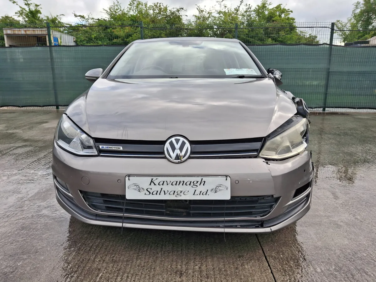 2015 Volkswagen Golf  1.6 Tdi - Image 2