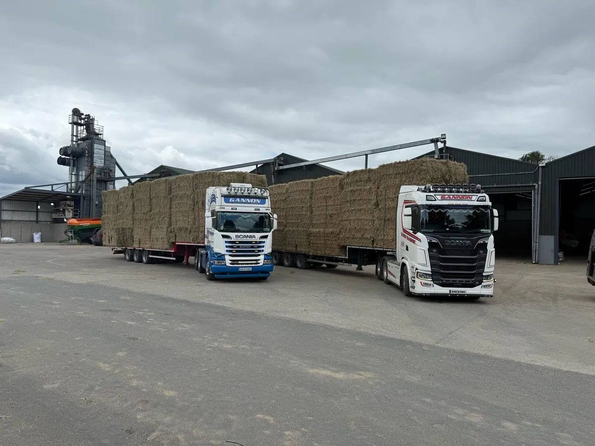 Hay 8x4x3 - Image 2