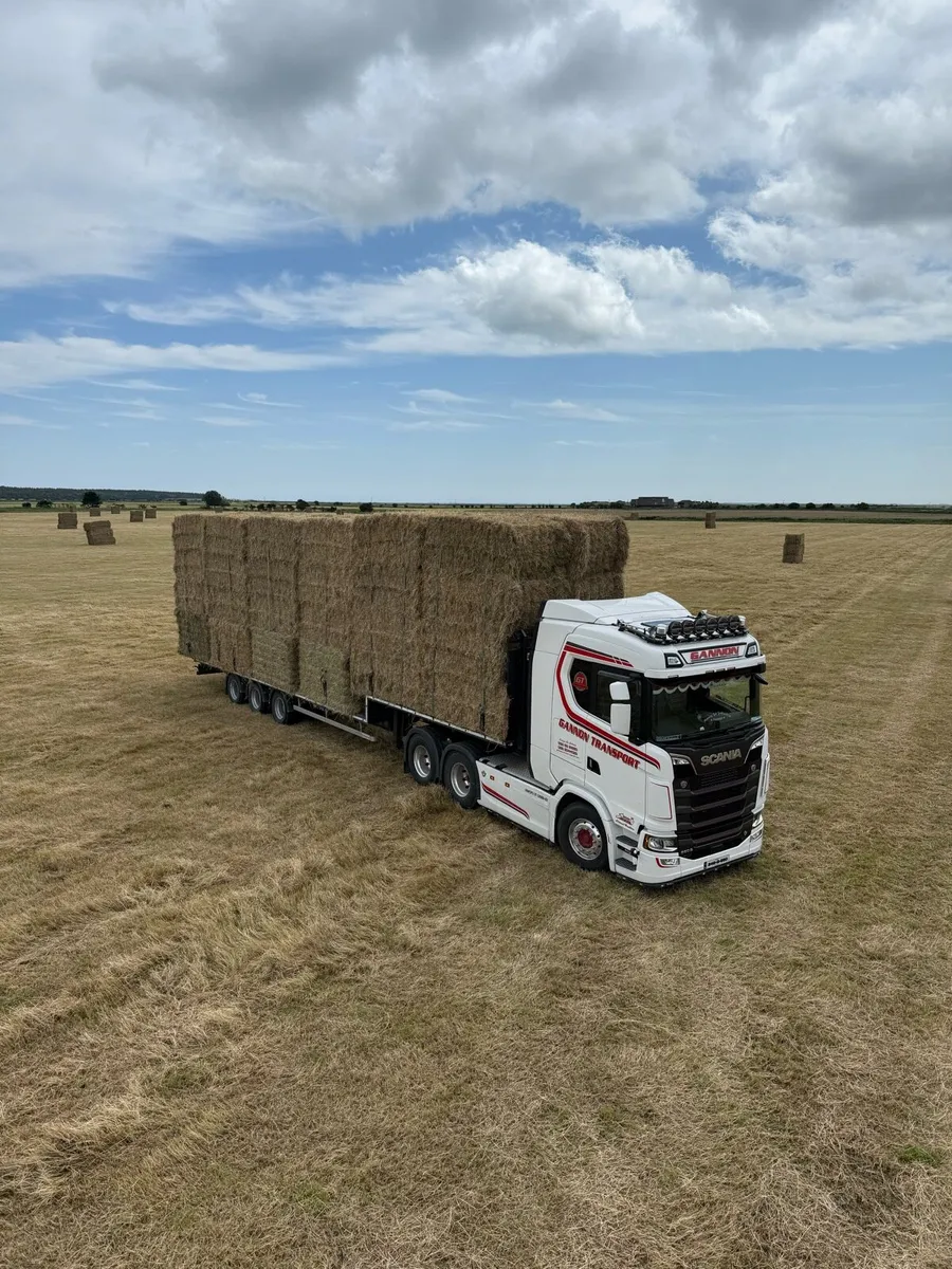 Hay 8x4x3 - Image 1