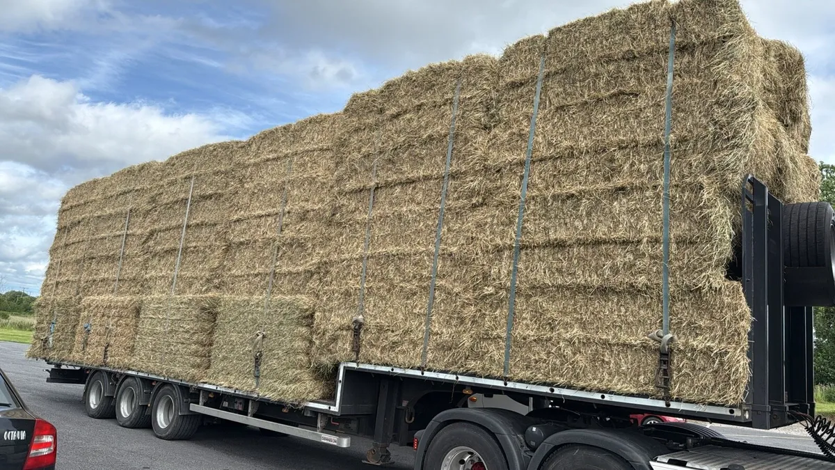 Hay 8x4x3 - Image 3