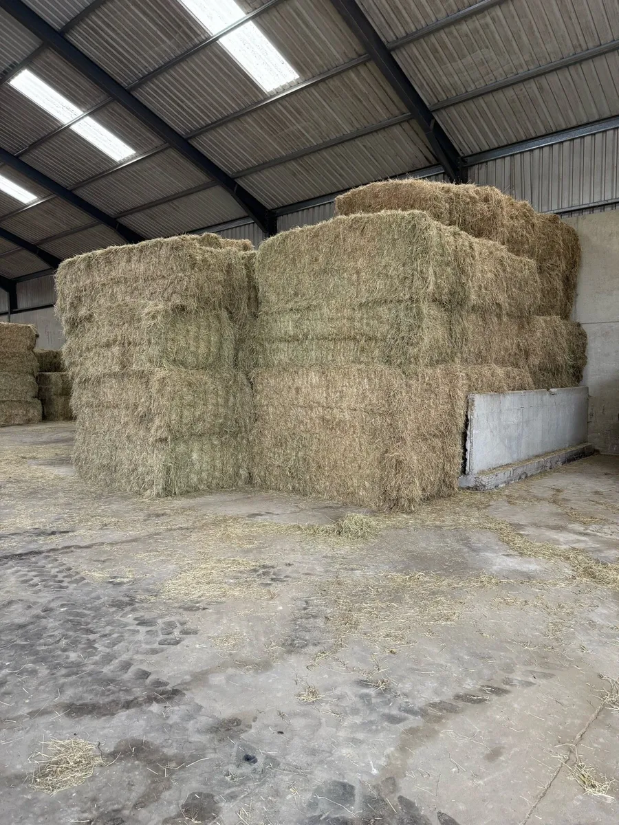 Hay 8x4x3 - Image 4