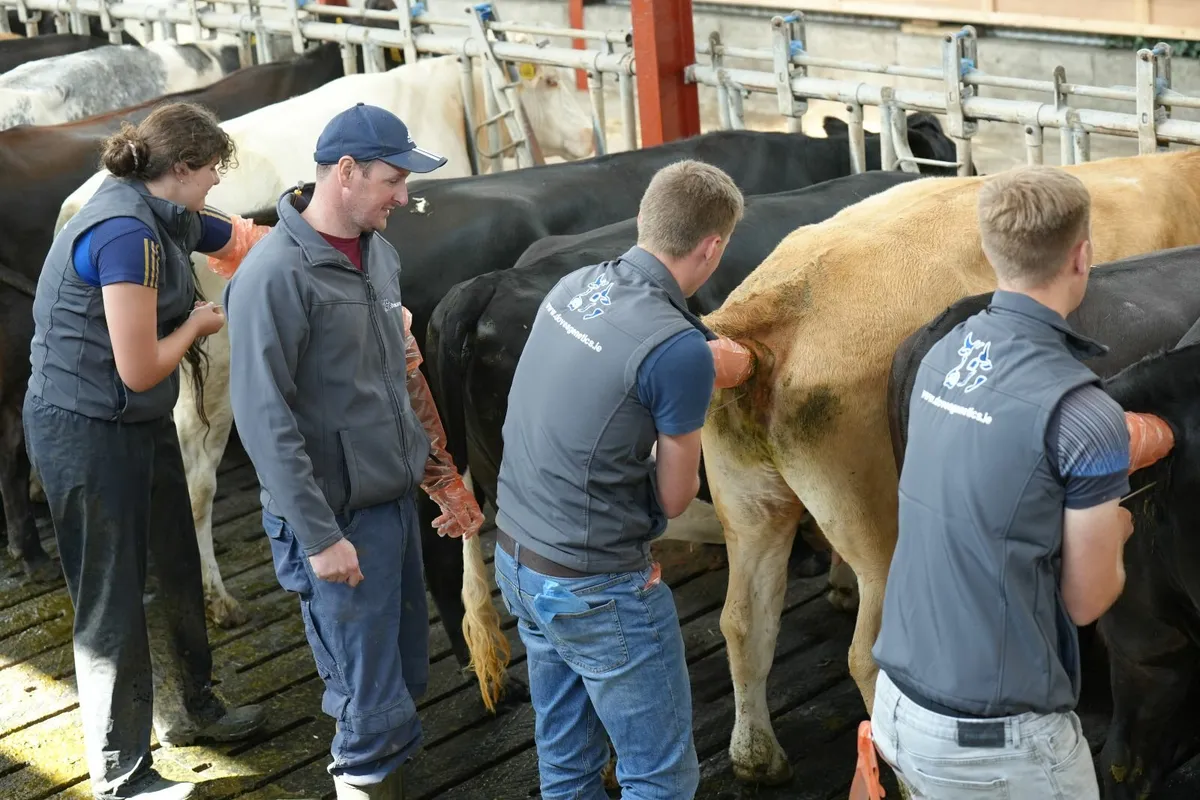 Dovea Genetics DIY AI Training - Image 2