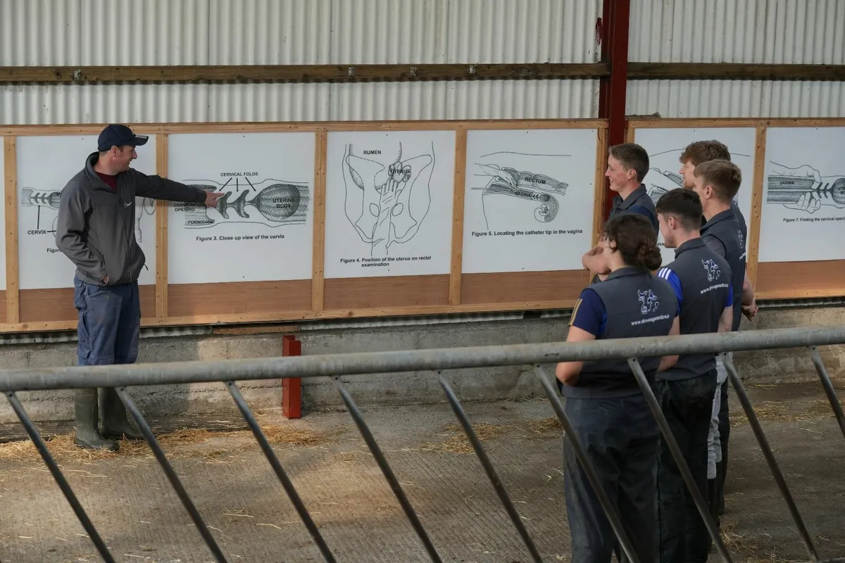 Dovea Genetics DIY AI Training - Image 3