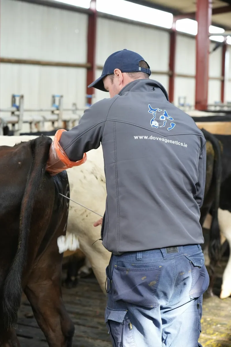 Dovea Genetics DIY AI Training - Image 4