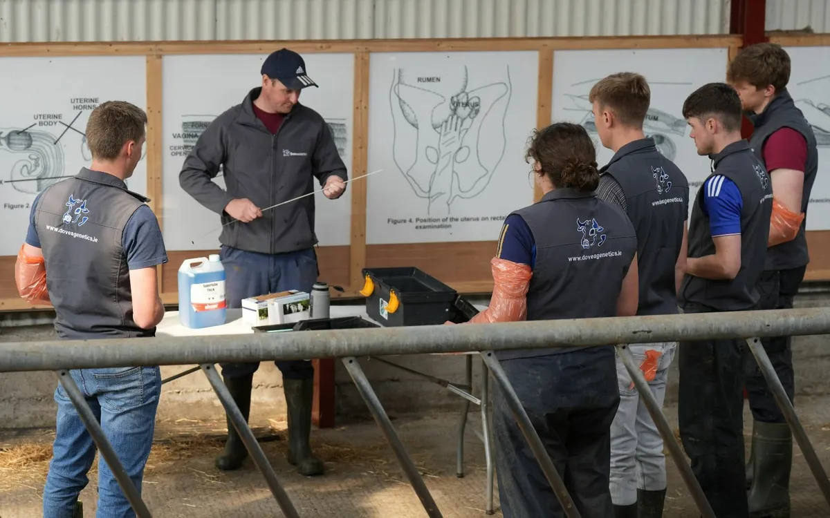 Dovea Genetics DIY AI Training - Image 1