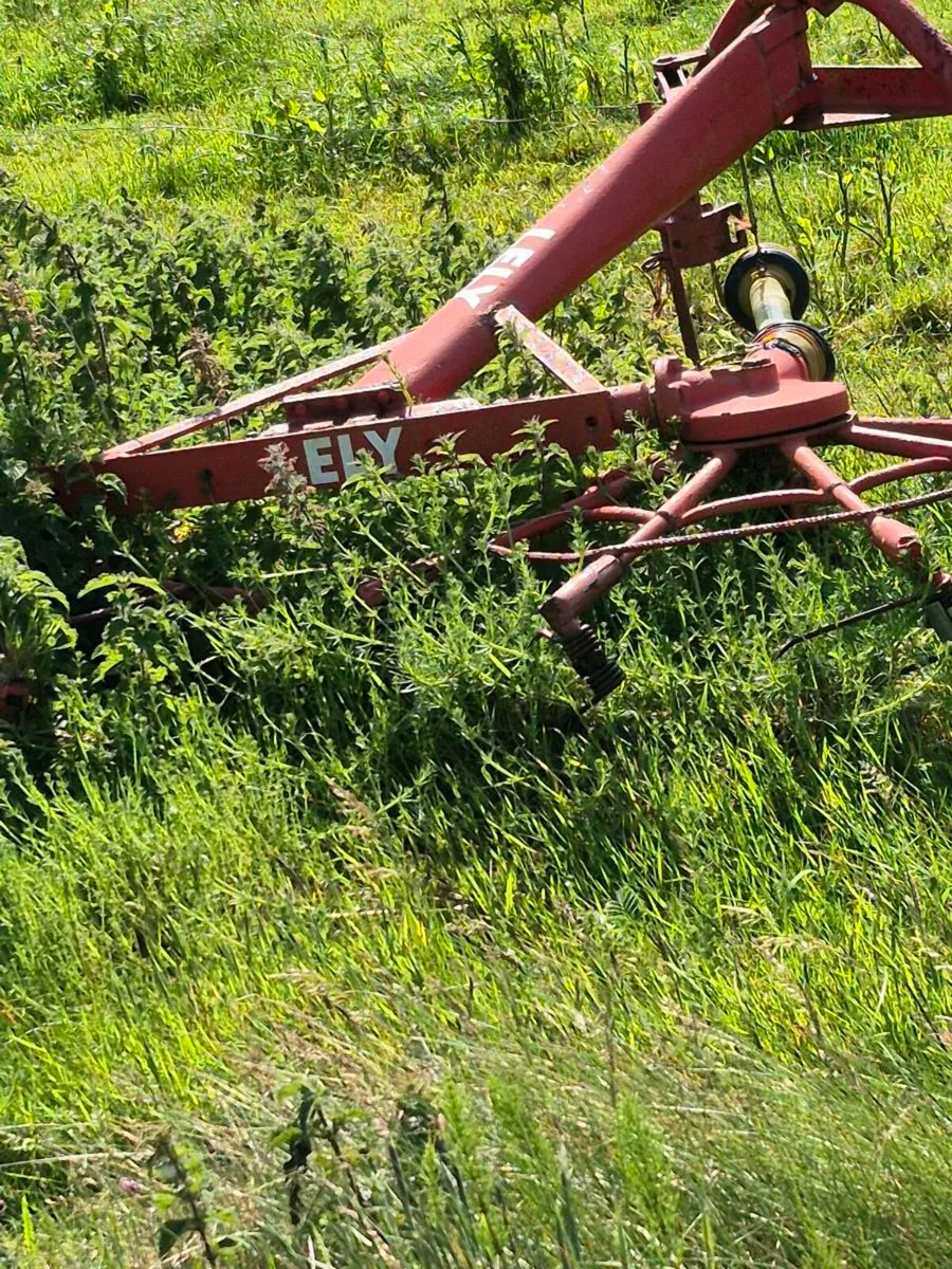 LELY GEMINI HAY+ GRASS TEDDER VERY GOOD CONDITION. - Image 1
