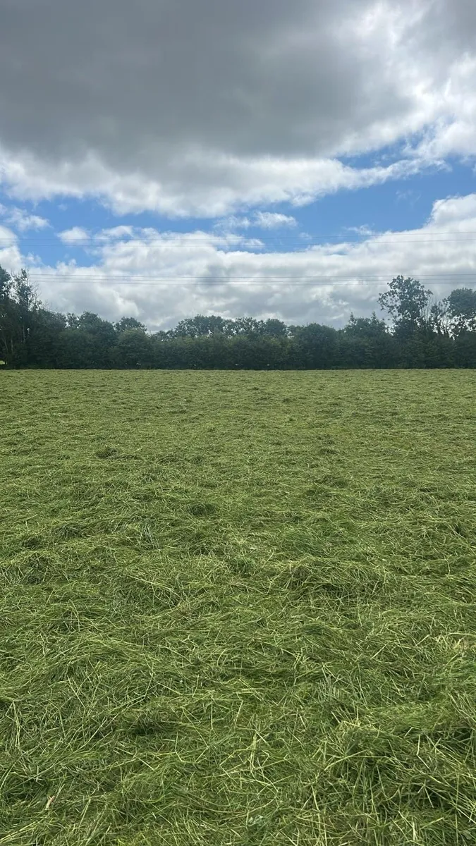 Silage