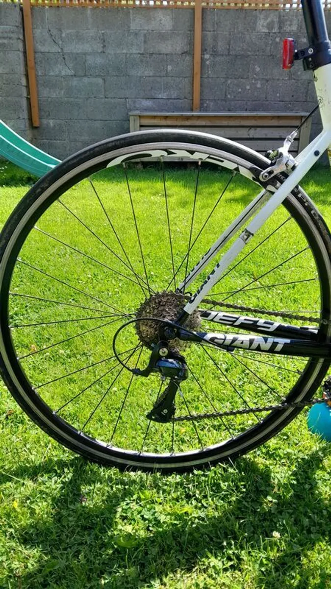 Giant Defy - Image 2