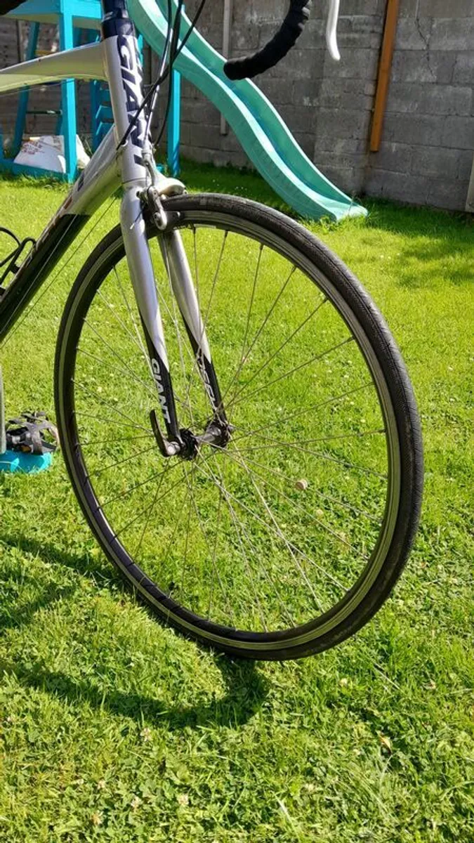 Giant Defy - Image 4